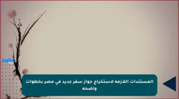 المستندات اللازمة لاستخراج جواز سفر جديد في مصر بخطوات واضحة